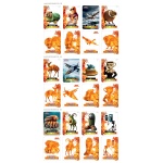 BRAINROT KARTY LAMINOWANE W SASZETCE