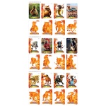 BRAINROT KARTY LAMINOWANE W SASZETCE