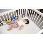 INFANTINO 301084 KSIĄŻECZKA HARMONIJKA